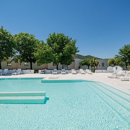 Hotel Le Mimose Сан-Теодоро Екстер'єр фото